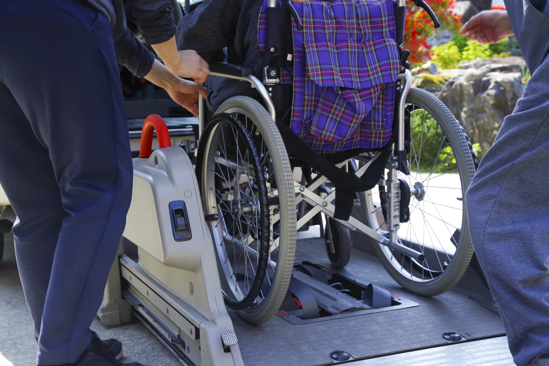 トリニードカイゴ